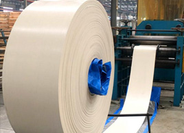 650宽白色输送带